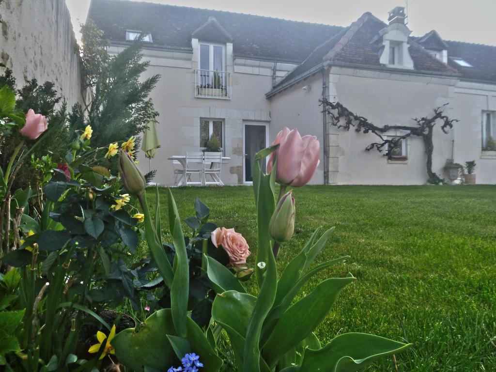 Villa Rosa Saint Georges sur Cher Bagian luar foto